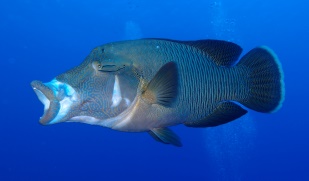 image023